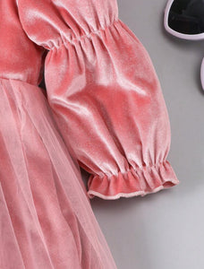 Velvet Pink Flare sleeve dress